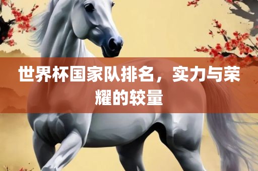 世界杯国家队排名，实力与荣耀的较量