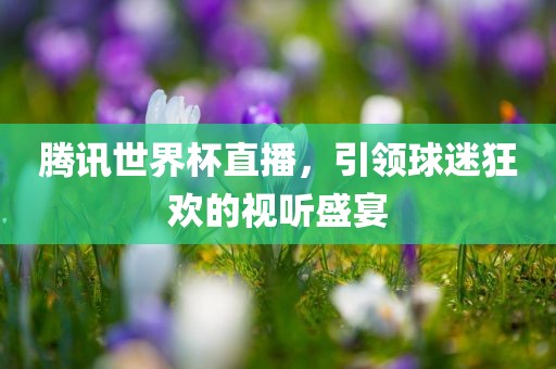 腾讯世界杯直播，引领球迷狂欢的视听盛宴