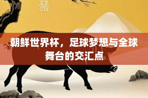 朝鲜世界杯，足球梦想与全球舞台的交汇点