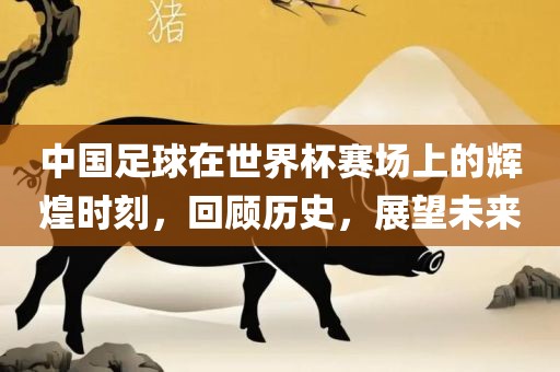 中国足球在世界杯赛场上的辉煌时刻，回顾历史，展望未来