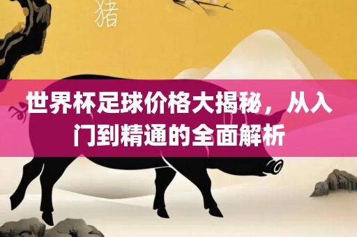 世界杯足球价格大揭秘，从入门到精通的全面解析