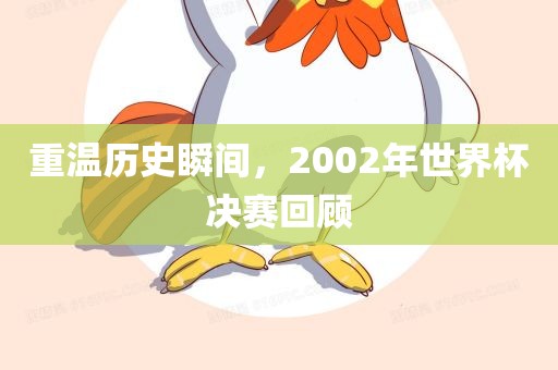重温历史瞬间，2002年世界杯决赛回顾丹东日丰电子有限公司