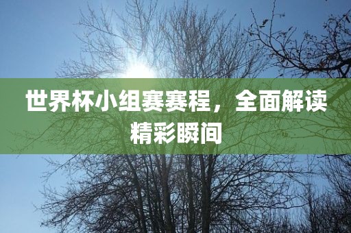 世界杯小组赛赛程，全面解读精彩瞬间