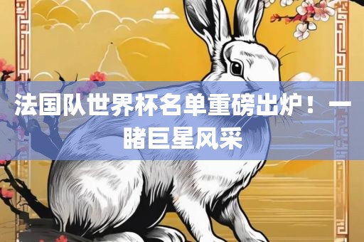 法国队世界杯名单重磅出炉！一睹巨星风采丹东日丰电子有限公司
