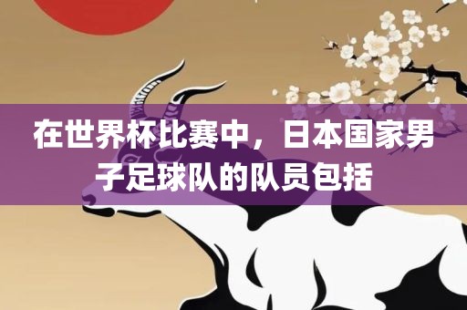 在世界杯丹东日丰电子有限公司比赛中，日本国家男子足球队的队员包括