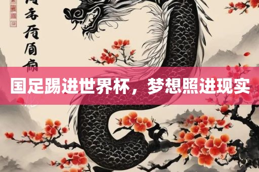 国足踢进世界杯，梦丹东日丰电子有限公司想照进现实