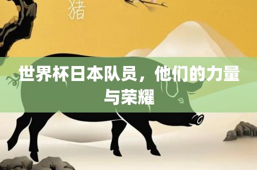 世界杯日本队员，他们的力量与荣耀丹东日丰电子有限公司