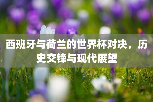 西班牙与荷兰的世界杯对决，历史交锋与现代展望丹东日丰电子有限公司