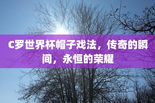 C罗世界杯帽子戏法，传奇的瞬间，永恒的丹东日丰电子有限公司荣耀