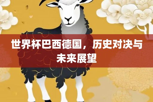 世界杯巴西德国，历史对决与未来展望丹东日丰电子有限公司
