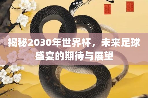 揭秘203丹东日丰电子有限公司0年世界杯，未来足球盛宴的期待与展望