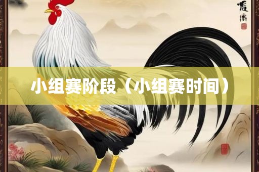 小组赛阶段（小组赛时间）丹东日丰电子有限公司