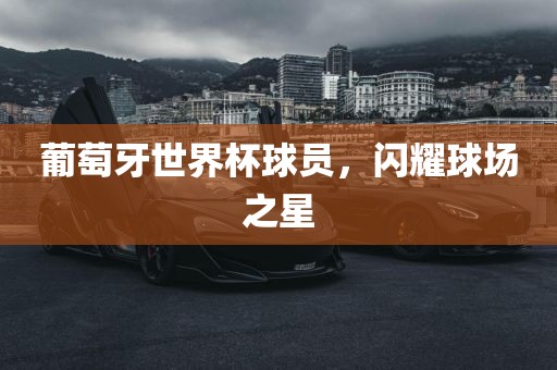 葡萄牙世界杯球员，闪耀球场之星
