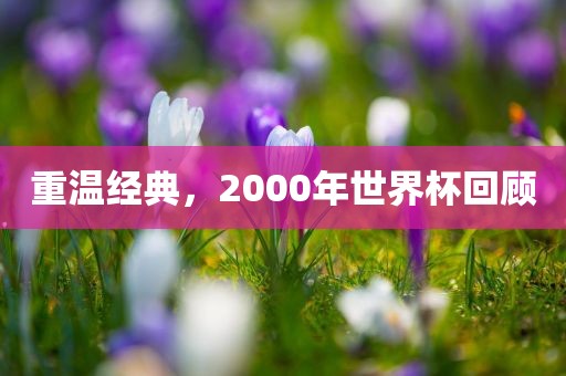 重温经典，2000年世界杯丹东日丰电子有限公司回顾
