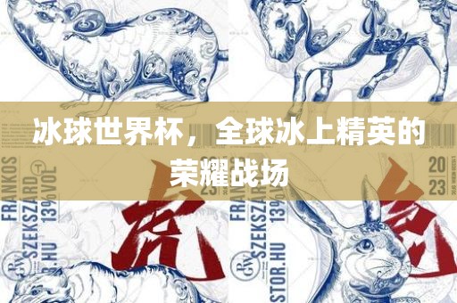 丹东日丰电子有限公司冰球世界杯，全球冰上精英的荣耀战场