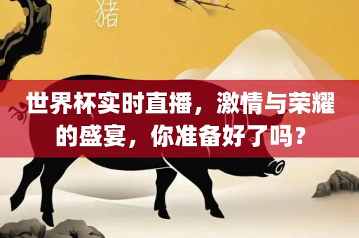 世界杯实时直播，激情与荣耀的盛宴，你准备好了吗？丹东日丰电子有限公司