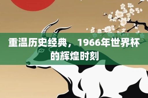 重温历史经典，1966年世界杯的辉煌时刻丹东日丰电子有限公司
