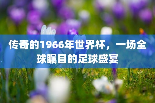 传奇的1966年世界杯，一场全球瞩目的足球盛宴丹东日丰电子有限公司
