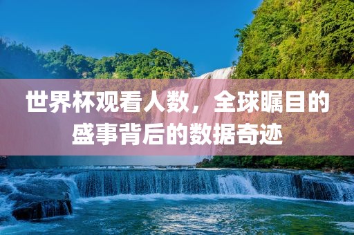 世界杯观看人数，全球瞩目的盛事背后的数据奇迹丹东日丰电子有限公司