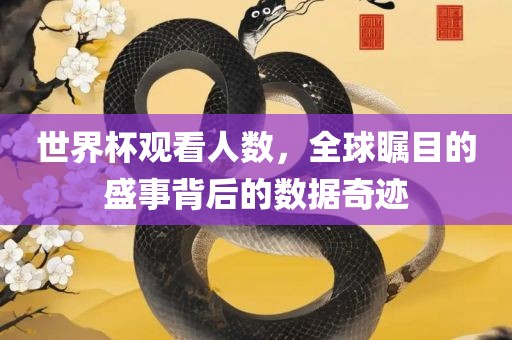 世界杯观看人数，全球瞩目的盛事背后的数据奇迹丹东日丰电子有限公司