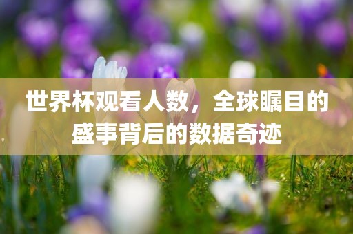 世界杯观看丹东日丰电子有限公司人数，全球瞩目的盛事背后的数据奇迹