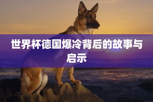 世界杯德国爆冷背后的故事与启示丹东日丰电子有限公司