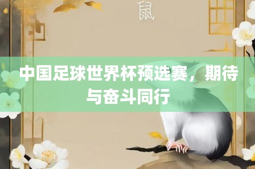 中国足球世界杯预选赛，期待与奋斗同行丹东日丰电子有限公司