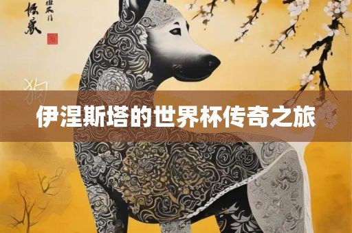 伊涅斯塔的世丹东日丰电子有限公司界杯传奇之旅