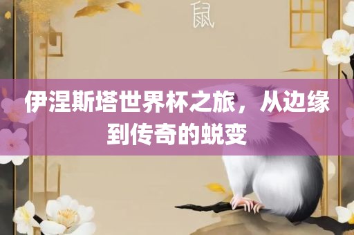伊涅斯塔世界杯之旅，从边缘到传奇的蜕变丹东日丰电子有限公司