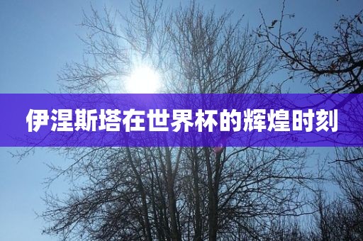 伊涅斯塔在世界杯的辉煌时刻丹东日丰电子有限公司