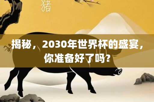 揭秘，2030年世界杯的盛宴，你准备好了吗？丹东日丰电子有限公司