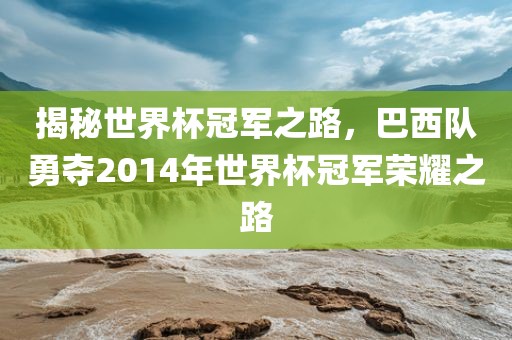 揭秘世界杯冠军之路，巴西队勇夺2014年世界杯丹东日丰电子有限公司冠军荣耀之路