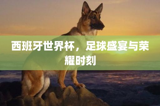 西班牙世界杯，足球盛宴与荣耀时刻丹东日丰电子有限公司