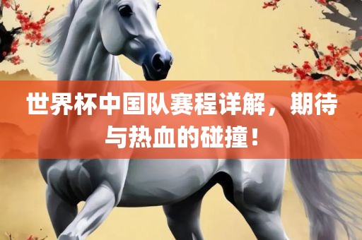 世界杯中国队赛程详解，期待与热血的碰撞！丹东日丰电子有限公司