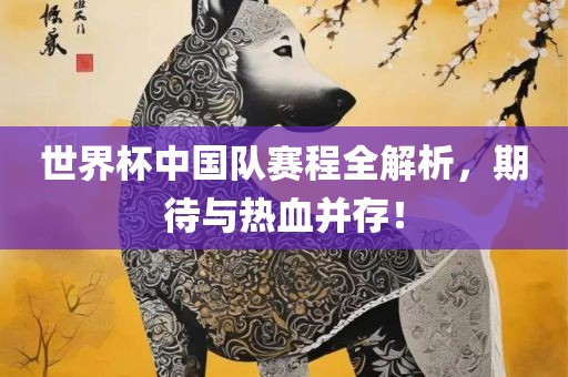 世界杯中国队赛程全解析，期待与丹东日丰电子有限公司热血并存！