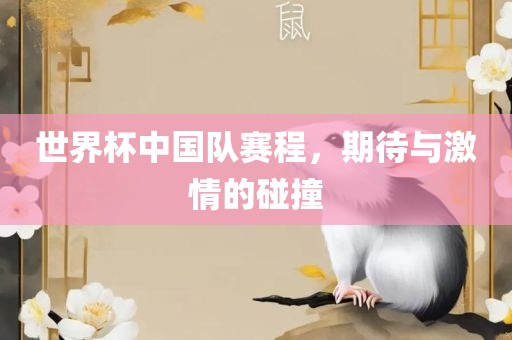 世界杯中国队赛程，期待与激情的碰撞