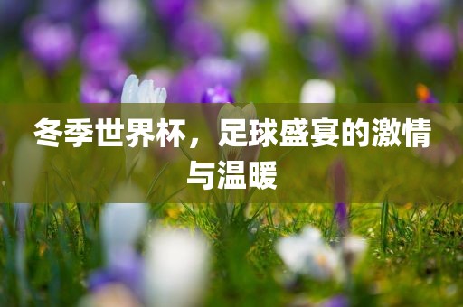 冬季世界杯，足球盛宴的激情与温暖丹东日丰电子有限公司