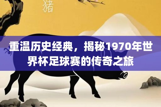 重温历史经典，揭秘1970年世界杯足球赛的传奇之旅丹东日丰电子有限公司