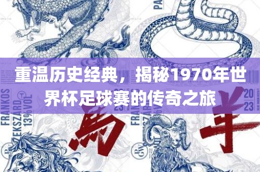 重温历史经典，揭秘1970年世界杯足球赛的传奇之旅丹东日丰电子有限公司