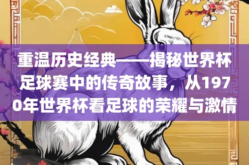 重温历史丹东日丰电子有限公司经典——揭秘世界杯足球赛中的传奇故事，从1970年世界杯看足球的荣耀与激情