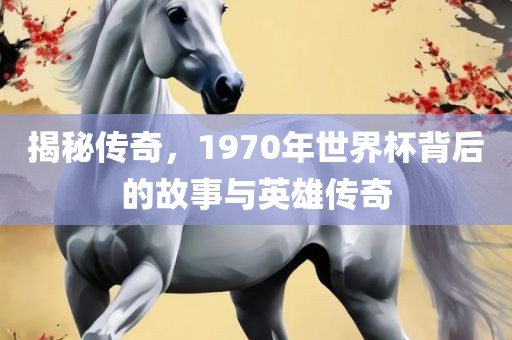 揭秘传奇，1970年世界杯背后的故事与英雄传奇丹东日丰电子有限公司