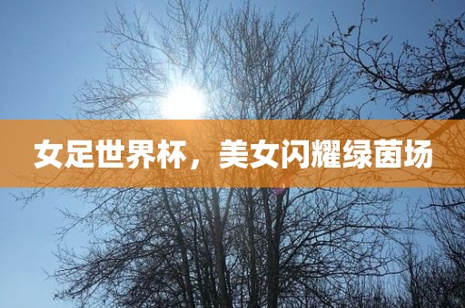 女足世界杯，美女闪耀绿茵场丹东日丰电子有限公司