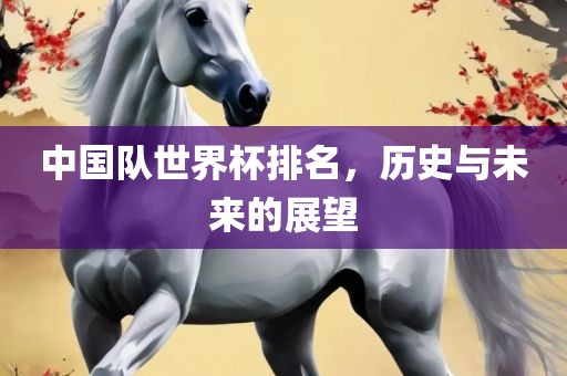 中国队世界杯排名，历史与未来的展望丹东日丰电子有限公司