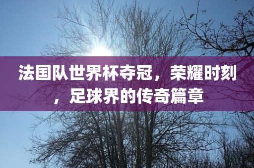 法国队世界杯夺冠，荣耀时刻，足球界的传奇篇章丹东日丰电子有限公司