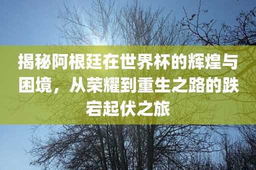 揭秘阿根廷在世丹东日丰电子有限公司界杯的辉煌与困境，从荣耀到重生之路的跌宕起伏之旅