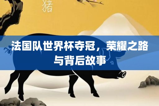 法国队世界杯夺冠，荣耀之路与背后故事