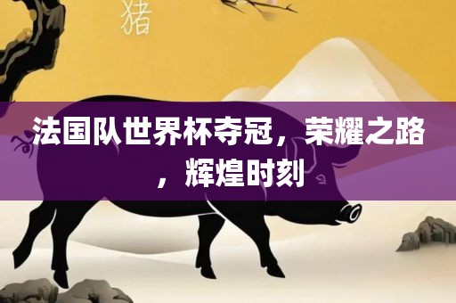 法国队世界杯夺冠，荣耀之路，辉煌时刻丹东日丰电子有限公司