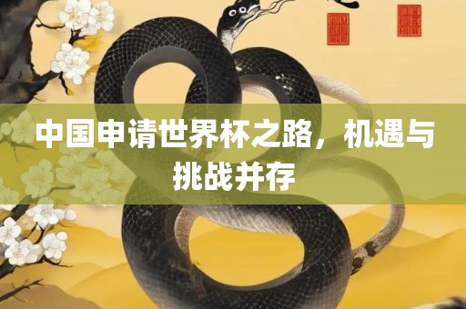 中国申请世界杯之路，机遇与挑战并存