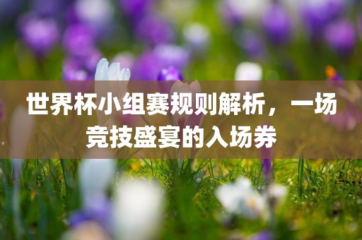 世界杯小组赛规则解析，一场竞技盛宴的入场券