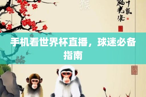 手机看世界杯直播，球迷必备指南丹东日丰电子有限公司